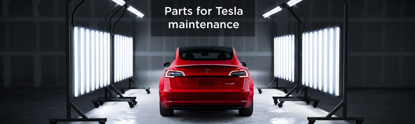 Tesla maintenance