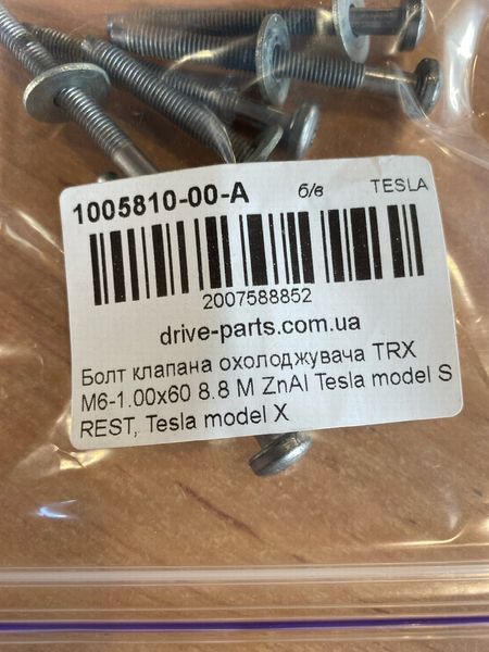 1005810-00-A TRX cooling valve bolt M6-1.00x60 8.8 M ZnAl Tesla Model S, SR, X photo