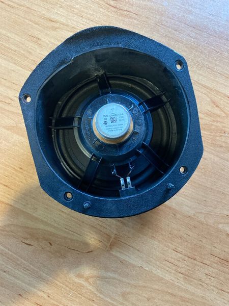 1004833-02-A Audio system speaker 160MM Tesla Model S, SR, X photo