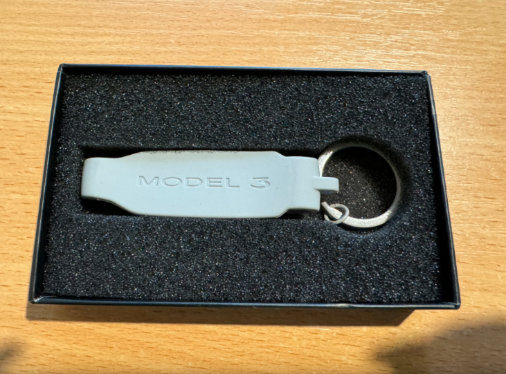 1490877-00-A Чохол на ключ Tesla Model 3, 3R Grey фото