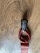 1015585-00-A Harness safety loop emergency Tesla Model S photo 1